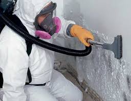 Professional Mold Prevention & Removal  in Friendship Heights Village, MD